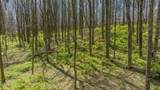 LOT 35 Thomas Knob Estates Road - Photo 15