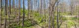 LOT 35 Thomas Knob Estates Road - Photo 16
