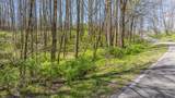 LOT 35 Thomas Knob Estates Road - Photo 7