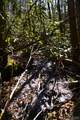 none Highland Gap Road - Photo 8