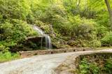 865 Toxaway Drive - Photo 85