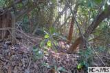 000 Walnut Gap Road - Photo 10