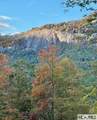226 Rock Face Trail - Photo 5