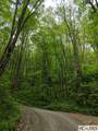 0 Buck Knob Road - Photo 11
