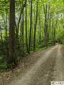 0 Buck Knob Road - Photo 6
