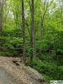 0 Buck Knob Road - Photo 8