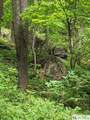 0 Buck Knob Road - Photo 9