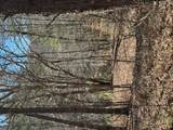 211 Hidden Hollow Lane - Photo 8