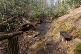 137 Rushing Brook Lane - Photo 32