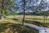 560 Salt Rock Road - Photo 6