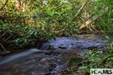 560 Salt Rock Road - Photo 8