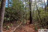 Lot 108R Rockhouse Falls Lane - Photo 4