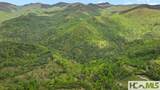 685 Gold Mine Road - Photo 52