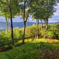 420 Feldspar Lane - Photo 5