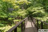 40 Blackberry Trail - Photo 28