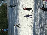 40 Blackberry Trail - Photo 50