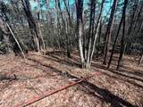 TBD Minerva - Photo 1