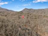 2015 Bettys Creek Road - Photo 43