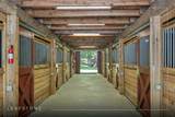 1285 Leafstone Circle - Photo 4