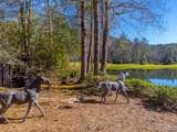 241 Indian Pipe Road - Photo 55