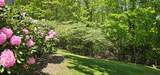 721 Lakeside Drive - Photo 53