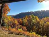 187 Evans Creek Road - Photo 5