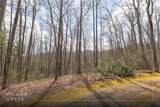 Lot 46 Skeen Mill Lane - Photo 2