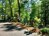 27 Shortoff Spring Road - Photo 6