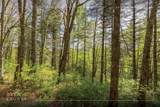 Lot 17 Glen Laurel Circle - Photo 2
