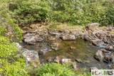 1701 Cullowhee Forest Road - Photo 68