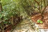 159 Webb Branch Road - Photo 13