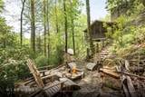 159 Webb Branch Road - Photo 5