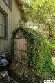 159 Webb Branch Road - Photo 65