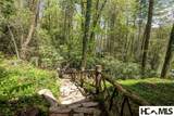 159 Webb Branch Road - Photo 68
