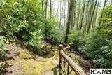 159 Webb Branch Road - Photo 71