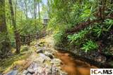 159 Webb Branch Road - Photo 73