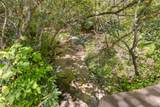 46 Lightning Bug Trail - Photo 39