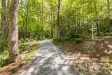 46 Lightning Bug Trail - Photo 40
