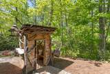 46 Lightning Bug Trail - Photo 42