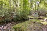 46 Lightning Bug Trail - Photo 43