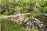 46 Lightning Bug Trail - Photo 44
