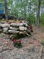 46 Lightning Bug Trail - Photo 48
