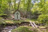 46 Lightning Bug Trail - Photo 50