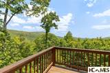 165 Birdnest Road - Photo 47