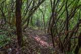 TBD Long Ridge Rd. - Photo 17