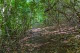 TBD Long Ridge Rd. - Photo 3
