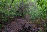 TBD Long Ridge Rd. - Photo 8