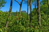 2141 Upper Divide Road - Photo 54