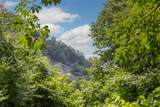 2652 Pilot Knob Road - Photo 10