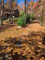 1560 Shirley Pressley Road - Photo 16